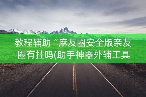 教程辅助“麻友圈安全版亲友圈有挂吗(助手神器外辅工具)