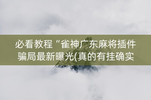 必看教程“雀神广东麻将插件骗局最新曝光(真的有挂确实有挂)