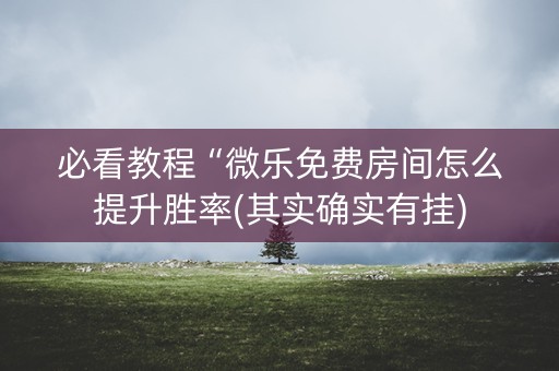 必看教程“微乐免费房间怎么提升胜率(其实确实有挂)