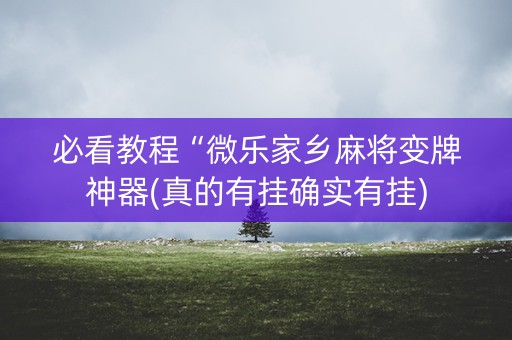 必看教程“微乐家乡麻将变牌神器(真的有挂确实有挂)