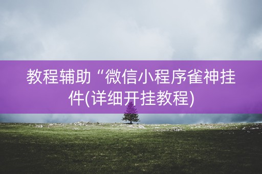 教程辅助“微信小程序雀神挂件(详细开挂教程)