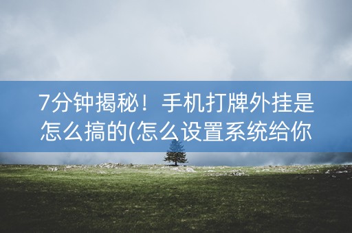 7分钟揭秘！手机打牌外挂是怎么搞的(怎么设置系统给你好牌)