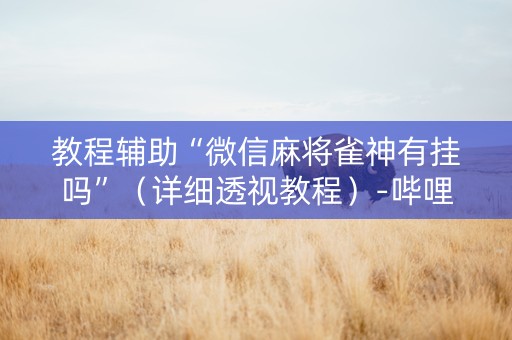 教程辅助“微信麻将雀神有挂吗”（详细透视教程）-哔哩哔哩