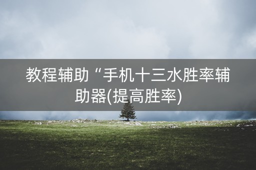 教程辅助“手机十三水胜率辅助器(提高胜率)