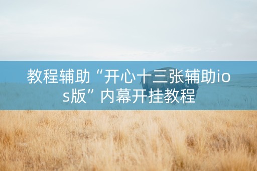 教程辅助“开心十三张辅助ios版”内幕开挂教程