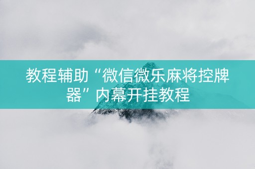 教程辅助“微信微乐麻将控牌器”内幕开挂教程