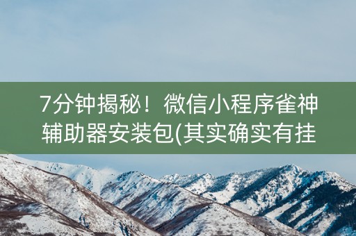 7分钟揭秘！微信小程序雀神辅助器安装包(其实确实有挂)
