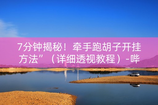 7分钟揭秘！牵手跑胡子开挂方法”（详细透视教程）-哔哩哔哩