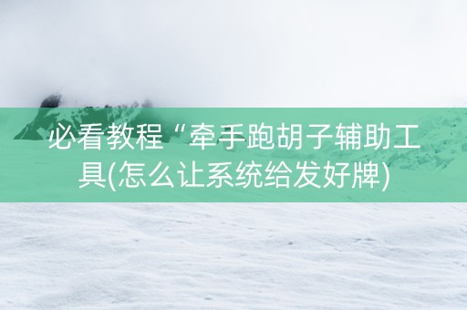 必看教程“牵手跑胡子辅助工具(怎么让系统给发好牌)
