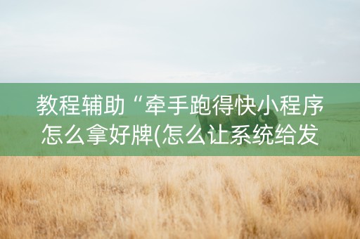 教程辅助“牵手跑得快小程序怎么拿好牌(怎么让系统给发好牌)