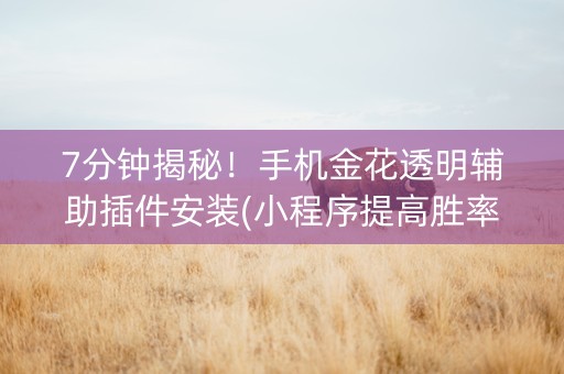 7分钟揭秘！手机金花透明辅助插件安装(小程序提高胜率)