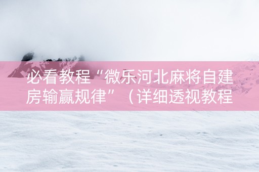 必看教程“微乐河北麻将自建房输赢规律”（详细透视教程）-哔哩哔哩