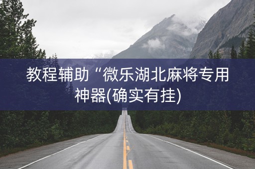教程辅助“微乐湖北麻将专用神器(确实有挂)