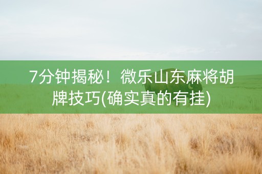 7分钟揭秘！微乐山东麻将胡牌技巧(确实真的有挂)
