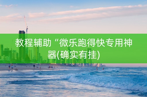 教程辅助“微乐跑得快专用神器(确实有挂)