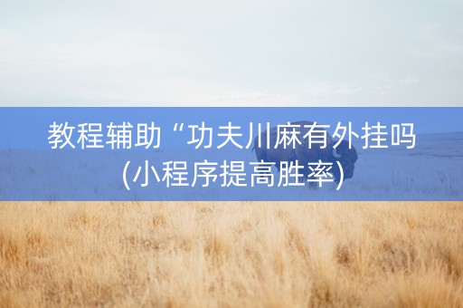 教程辅助“功夫川麻有外挂吗(小程序提高胜率)