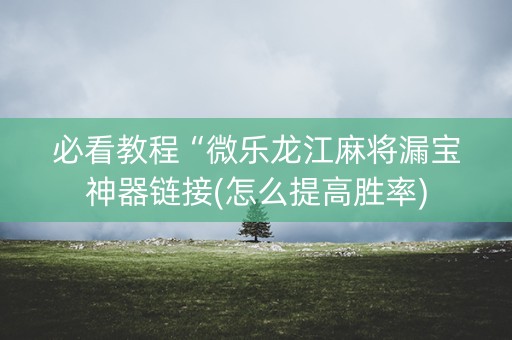 必看教程“微乐龙江麻将漏宝神器链接(怎么提高胜率)