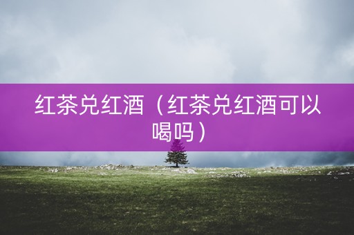 红茶兑红酒（红茶兑红酒可以喝吗）