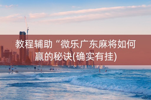 教程辅助“微乐广东麻将如何赢的秘诀(确实有挂)