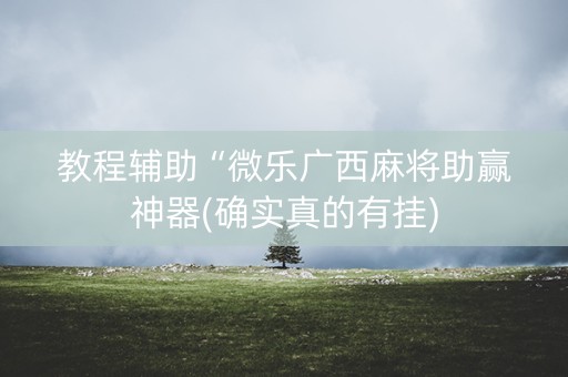 教程辅助“微乐广西麻将助赢神器(确实真的有挂)