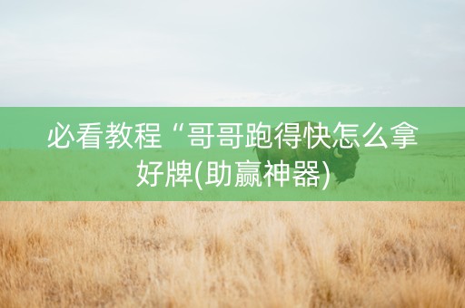 必看教程“哥哥跑得快怎么拿好牌(助赢神器)