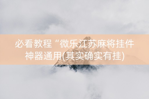 必看教程“微乐江苏麻将挂件神器通用(其实确实有挂)
