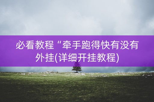 必看教程“牵手跑得快有没有外挂(详细开挂教程)