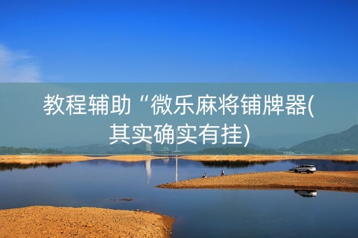 教程辅助“微乐麻将铺牌器(其实确实有挂)