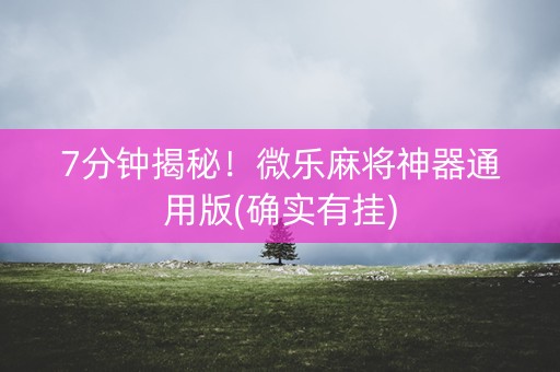 7分钟揭秘！微乐麻将神器通用版(确实有挂)