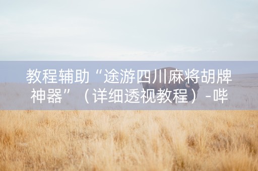 教程辅助“途游四川麻将胡牌神器”（详细透视教程）-哔哩哔哩