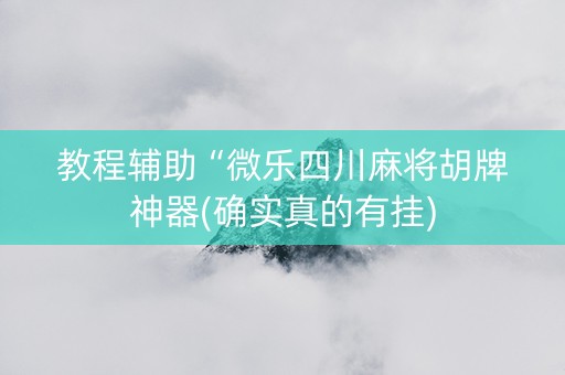教程辅助“微乐四川麻将胡牌神器(确实真的有挂)