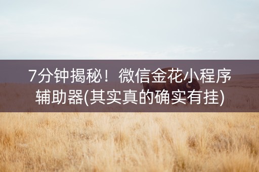 7分钟揭秘！微信金花小程序辅助器(其实真的确实有挂)