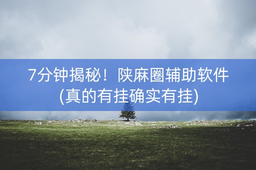 7分钟揭秘！陕麻圈辅助软件(真的有挂确实有挂)