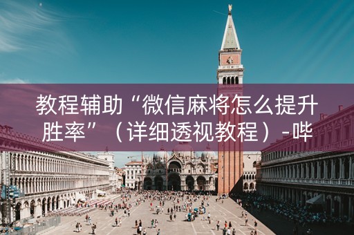 教程辅助“微信麻将怎么提升胜率”（详细透视教程）-哔哩哔哩