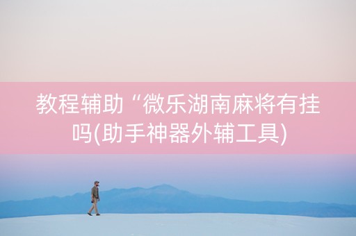 教程辅助“微乐湖南麻将有挂吗(助手神器外辅工具)