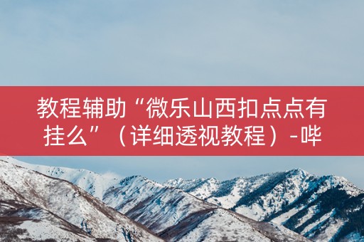 教程辅助“微乐山西扣点点有挂么”（详细透视教程）-哔哩哔哩