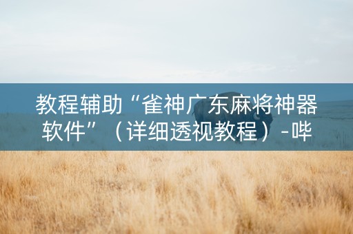 教程辅助“雀神广东麻将神器软件”（详细透视教程）-哔哩哔哩