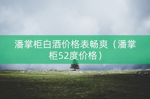 潘掌柜白酒价格表畅爽（潘掌柜52度价格）