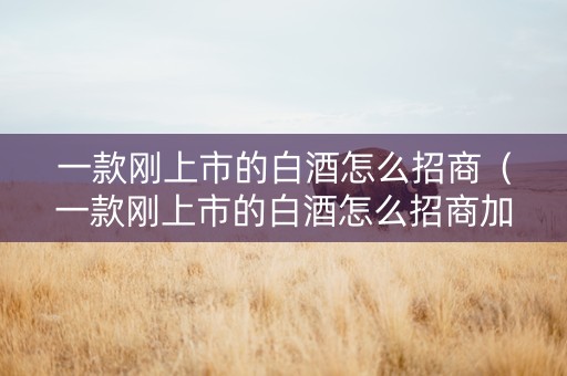 一款刚上市的白酒怎么招商（一款刚上市的白酒怎么招商加盟）