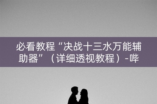 必看教程“决战十三水万能辅助器”（详细透视教程）-哔哩哔哩