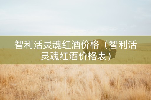 智利活灵魂红酒价格（智利活灵魂红酒价格表）