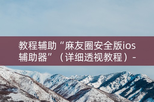教程辅助“麻友圈安全版ios辅助器”（详细透视教程）-哔哩哔哩