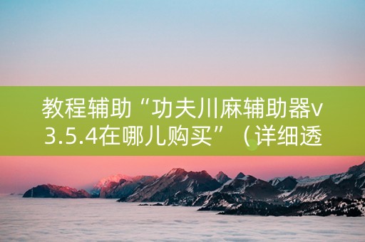 教程辅助“功夫川麻辅助器v3.5.4在哪儿购买”（详细透视教程）-哔哩哔哩