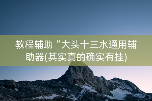 教程辅助“大头十三水通用辅助器(其实真的确实有挂)