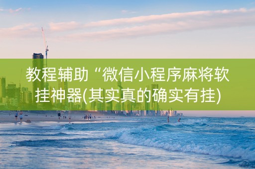 教程辅助“微信小程序麻将软挂神器(其实真的确实有挂)