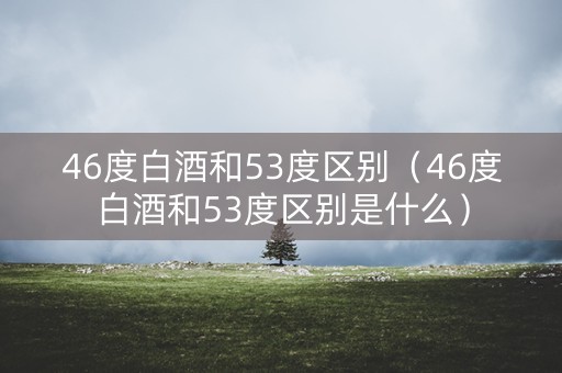 46度白酒和53度区别（46度白酒和53度区别是什么）