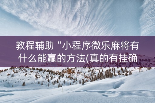 教程辅助“小程序微乐麻将有什么能赢的方法(真的有挂确实有挂)