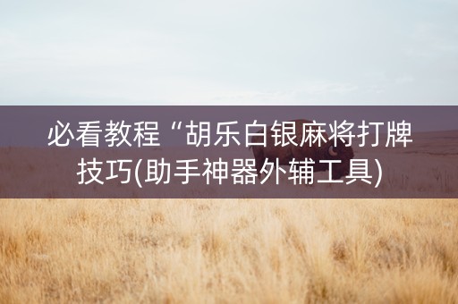 必看教程“胡乐白银麻将打牌技巧(助手神器外辅工具)