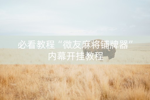 必看教程“微友麻将铺牌器”内幕开挂教程