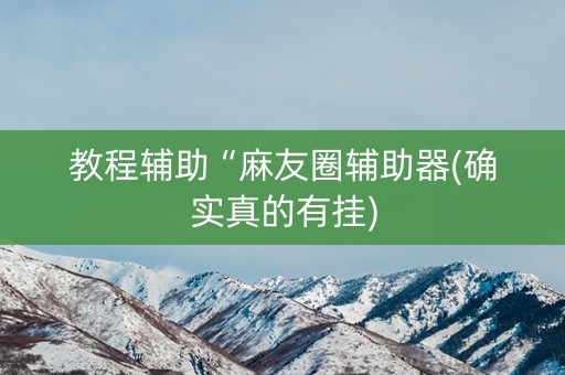 教程辅助“麻友圈辅助器(确实真的有挂)